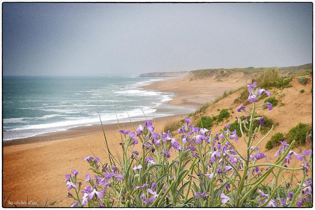 Photo of Others in Olonne-sur-Mer