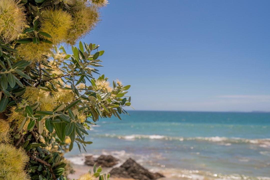 Photo of Others in Rings Beach