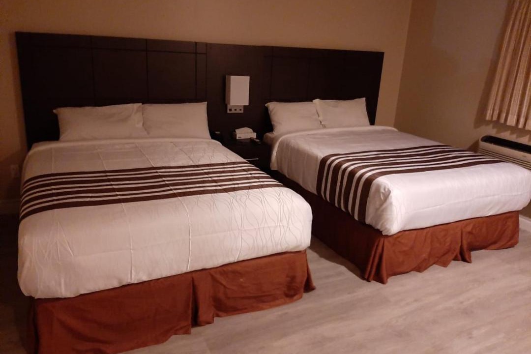 Photo of Others in Haliburton