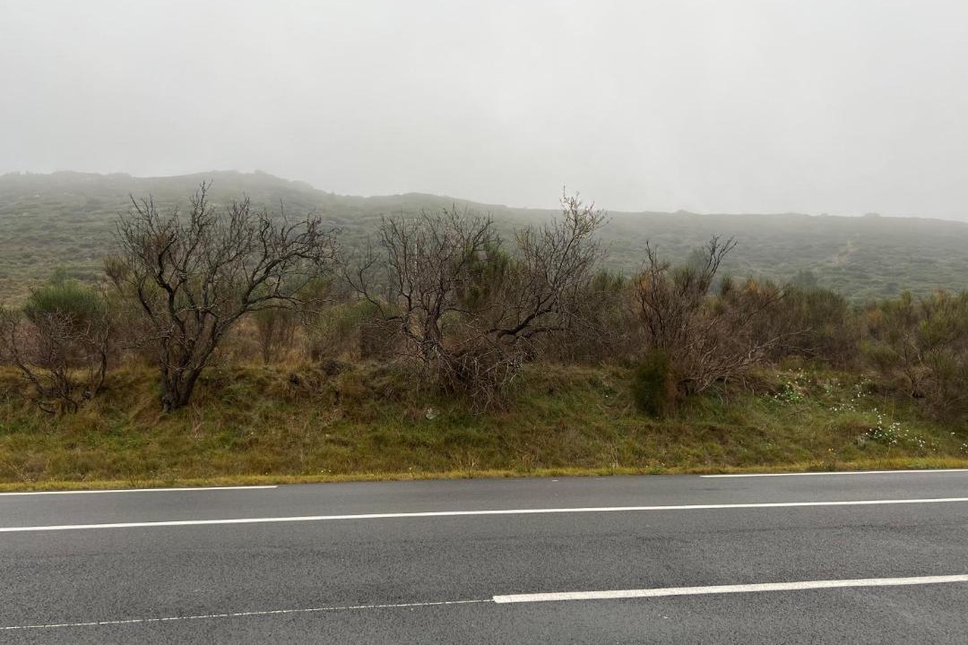 Photo of Others in Conilhac-Corbieres