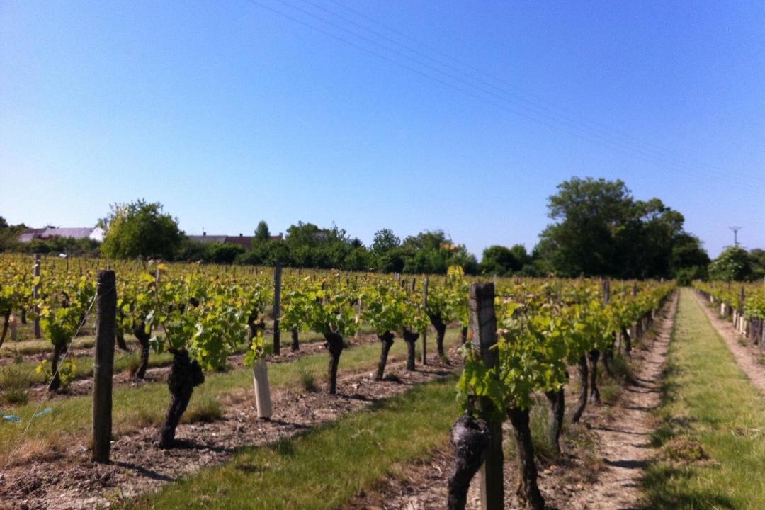 Photo of Others in Beaumont-en-Veron