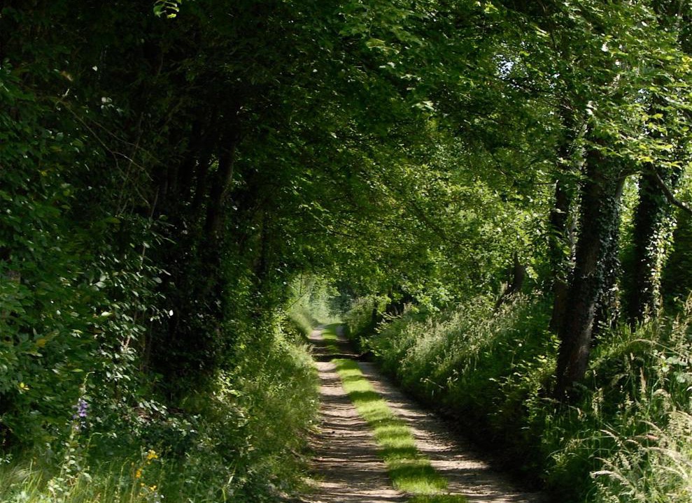 Photo of Others in Coeur du Perche