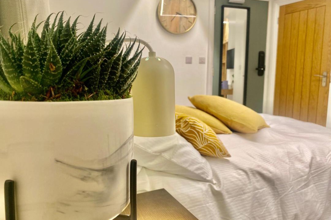 Photo of Others in Winchester