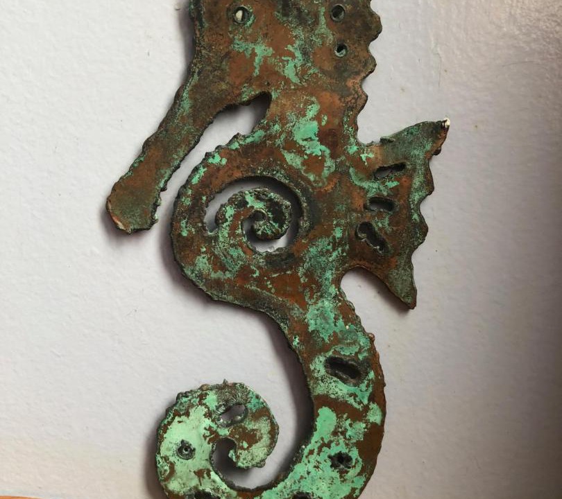 Photo of Others in Raglan