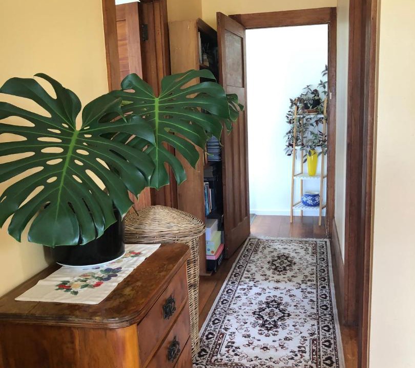 Photo of Others in Raglan