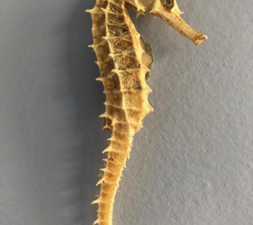 Photo of Others in Raglan