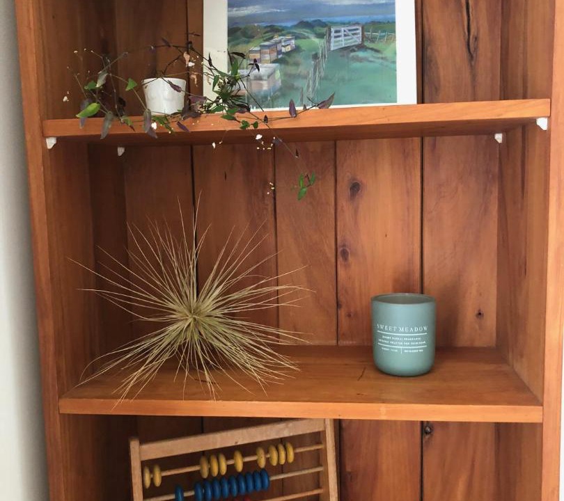 Photo of Others in Raglan