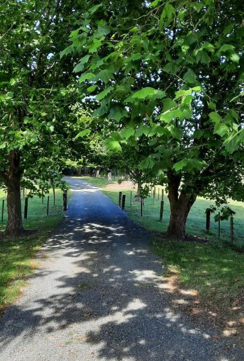 Photo of Others in Cambridge