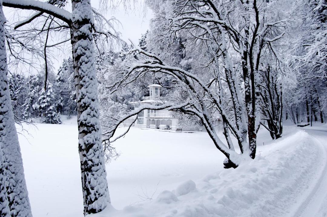 Photo of Buildings in Barvikha