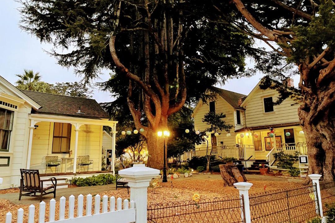 Photo of Others in Beach Hill - Beach Flats