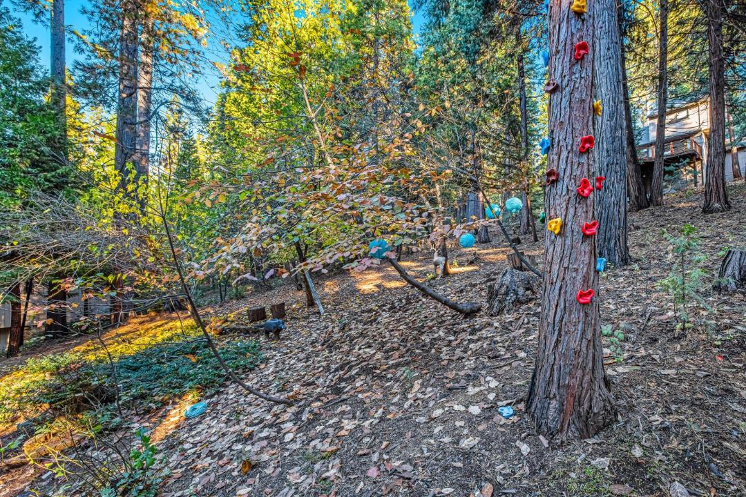 Photo of Others in Glencoe