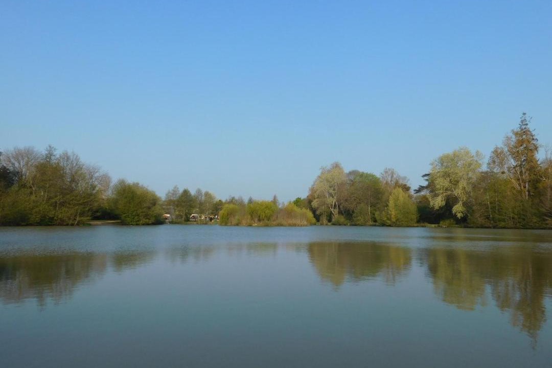Photo of Outdoor in Bouere