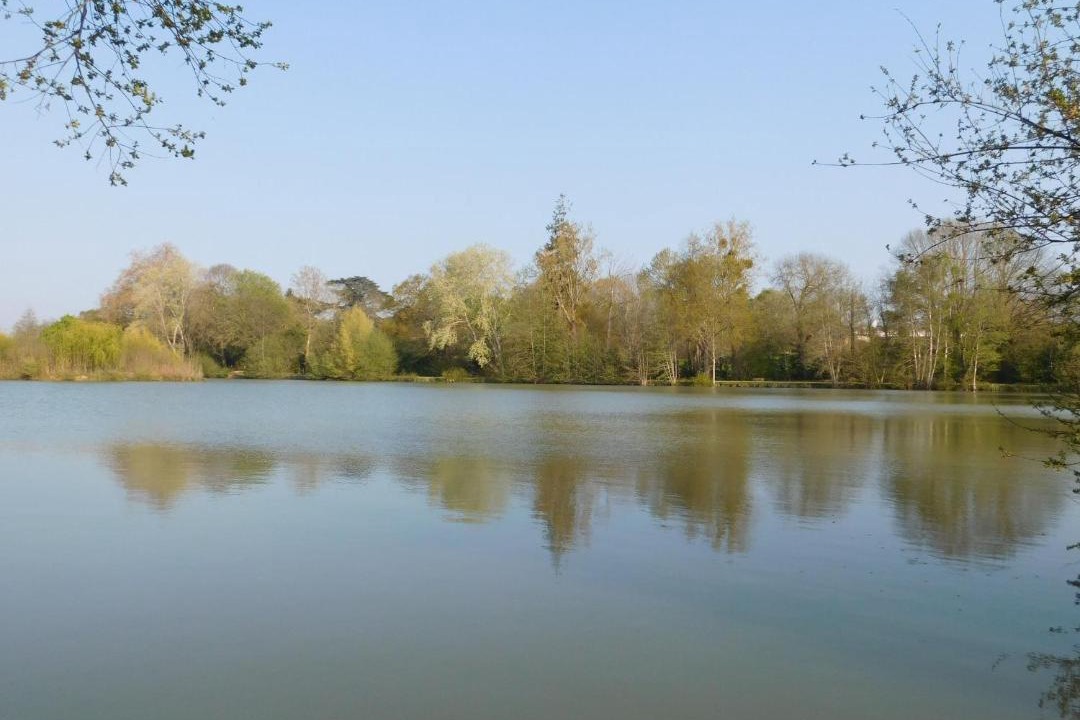 Photo of Outdoor in Bouere