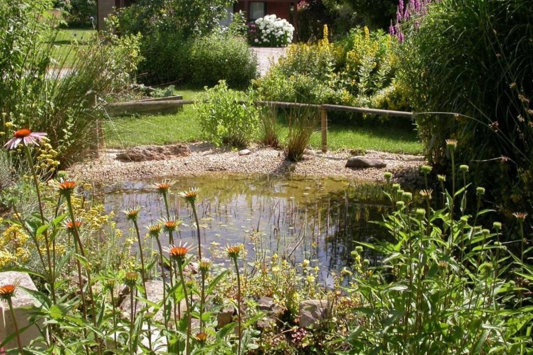 Photo of Outdoor in Bouere