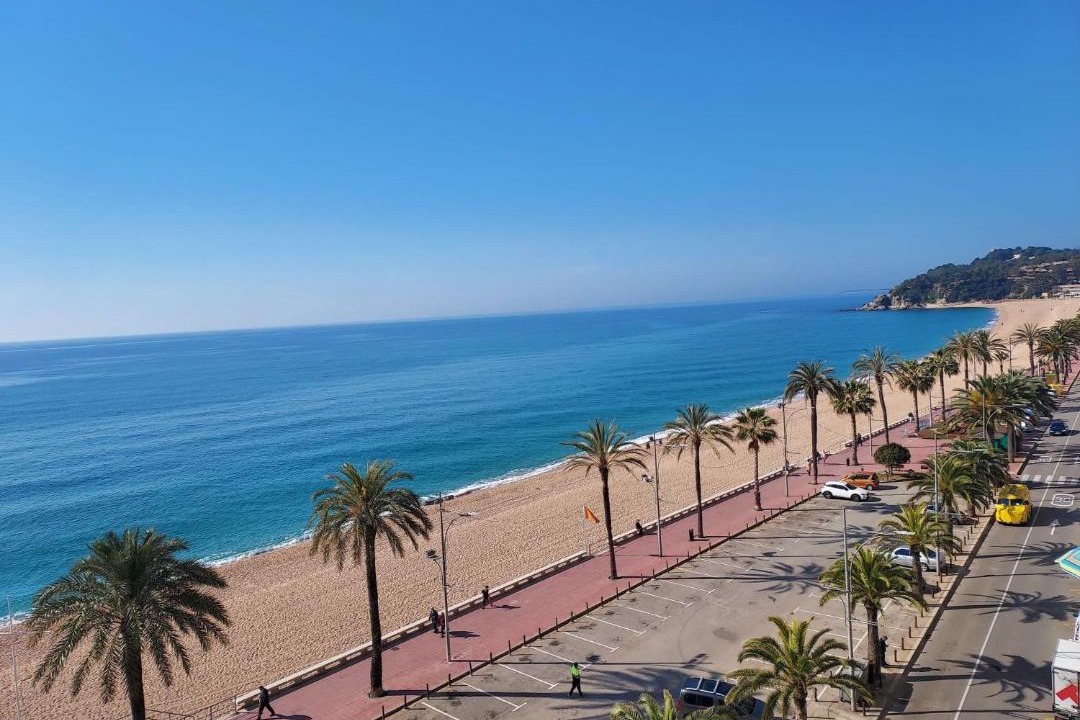 Photo of Others in Lloret Town Center