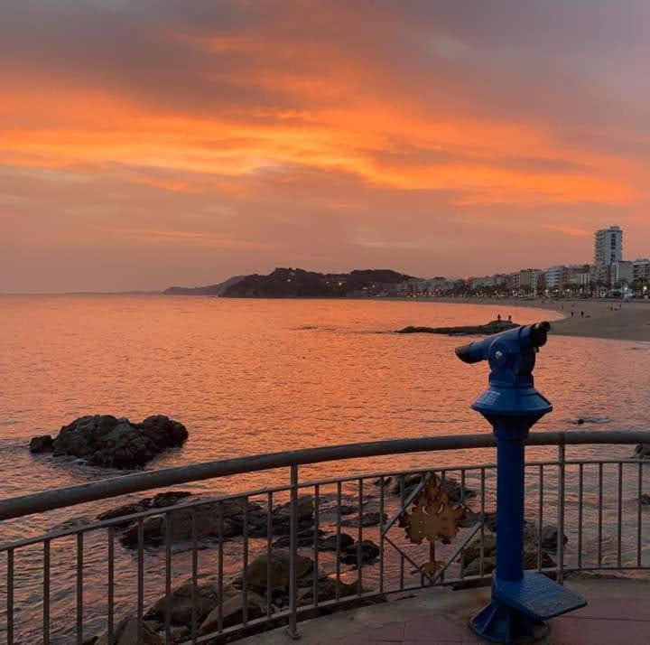 Photo of Others in Lloret Town Center