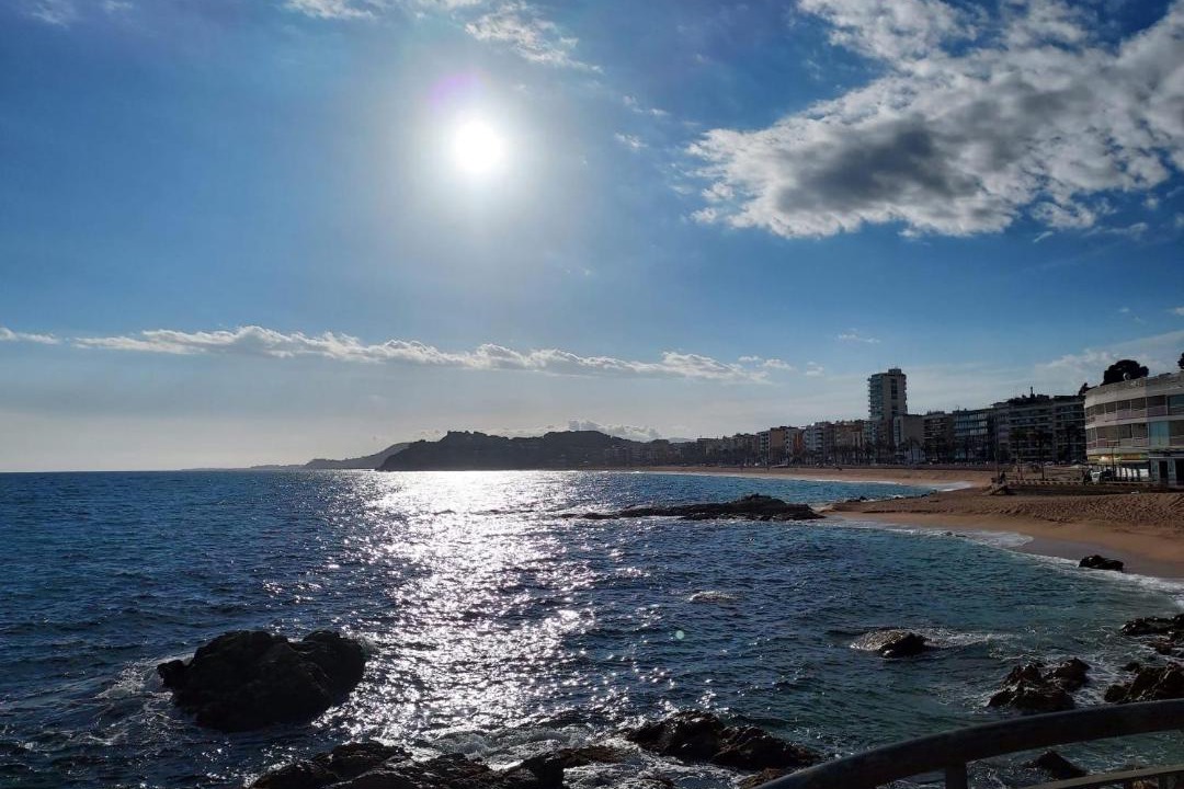 Photo of Others in Lloret Town Center