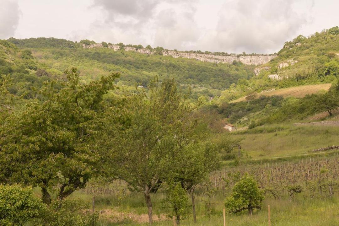 Photo of Outdoor in Saint-Romain