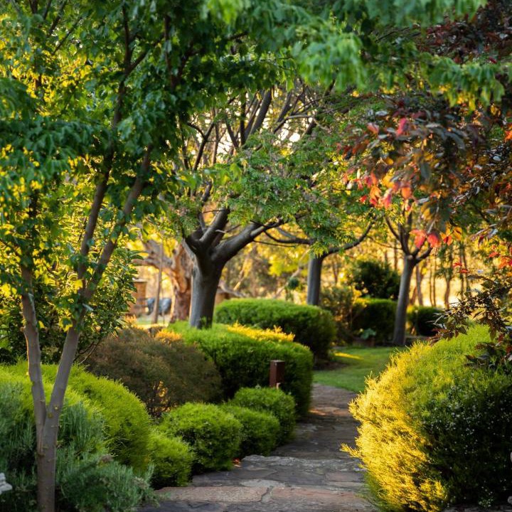 Photo of Outdoor in Barwite