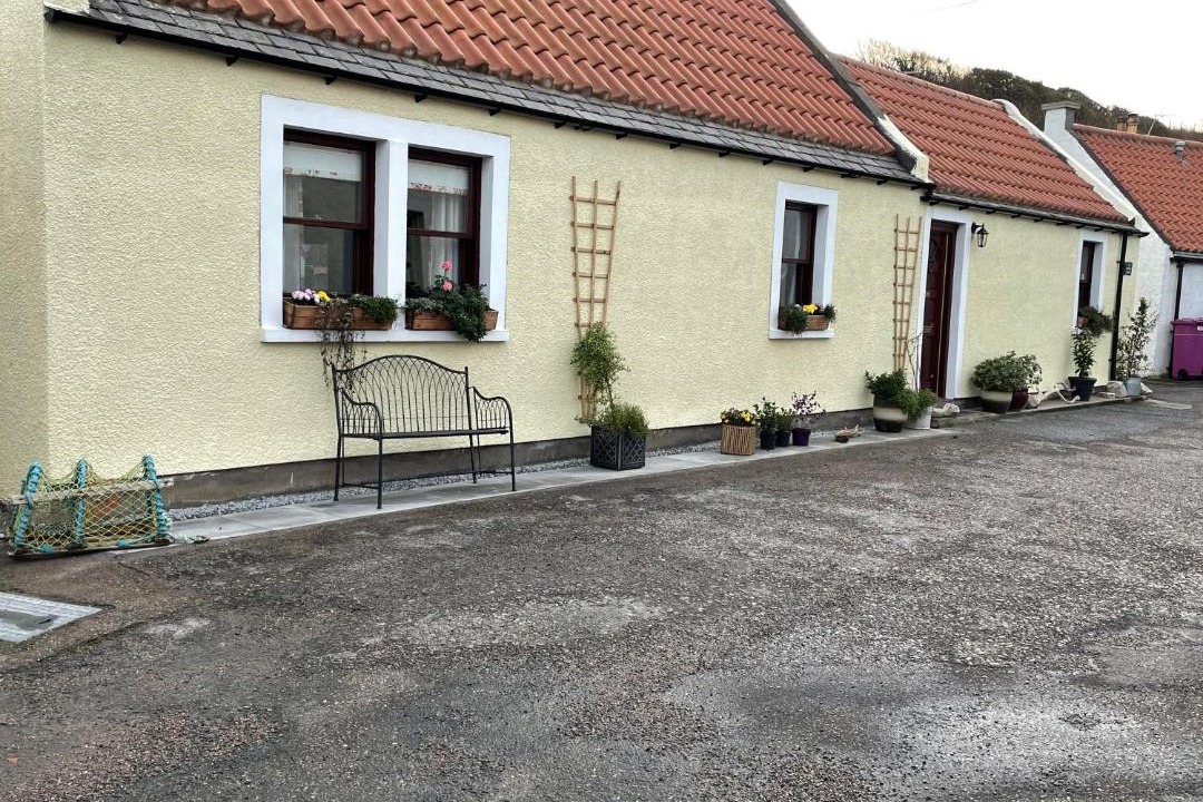 Photo of Others in Cullen