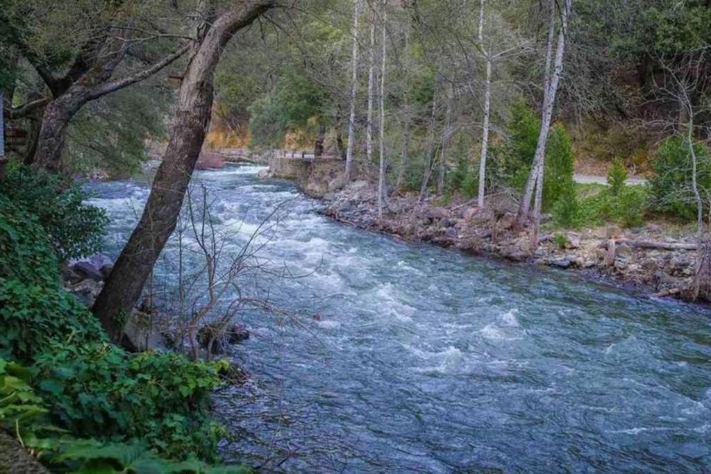 Photo of Outdoor in Dunsmuir