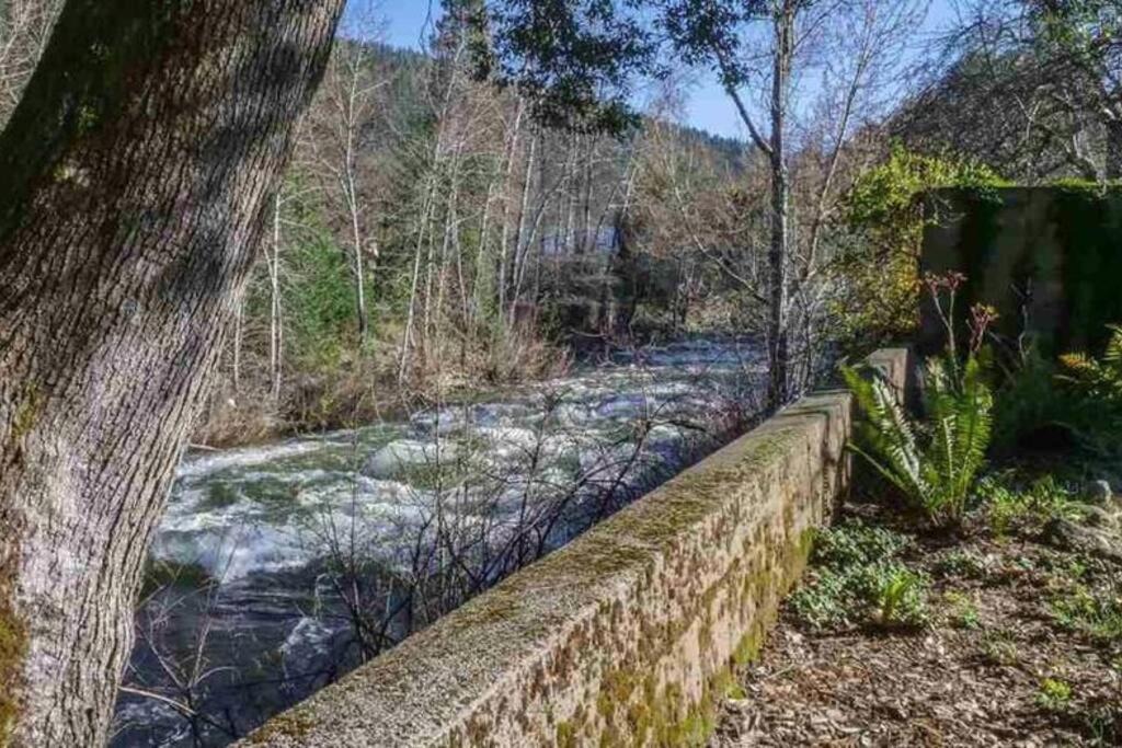 Photo of Others in Dunsmuir