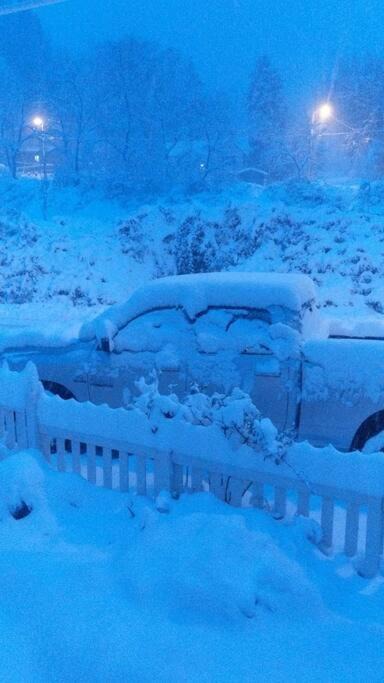 Photo of Others in Dunsmuir