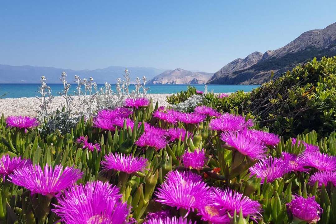 Photo of Outdoor in Baska