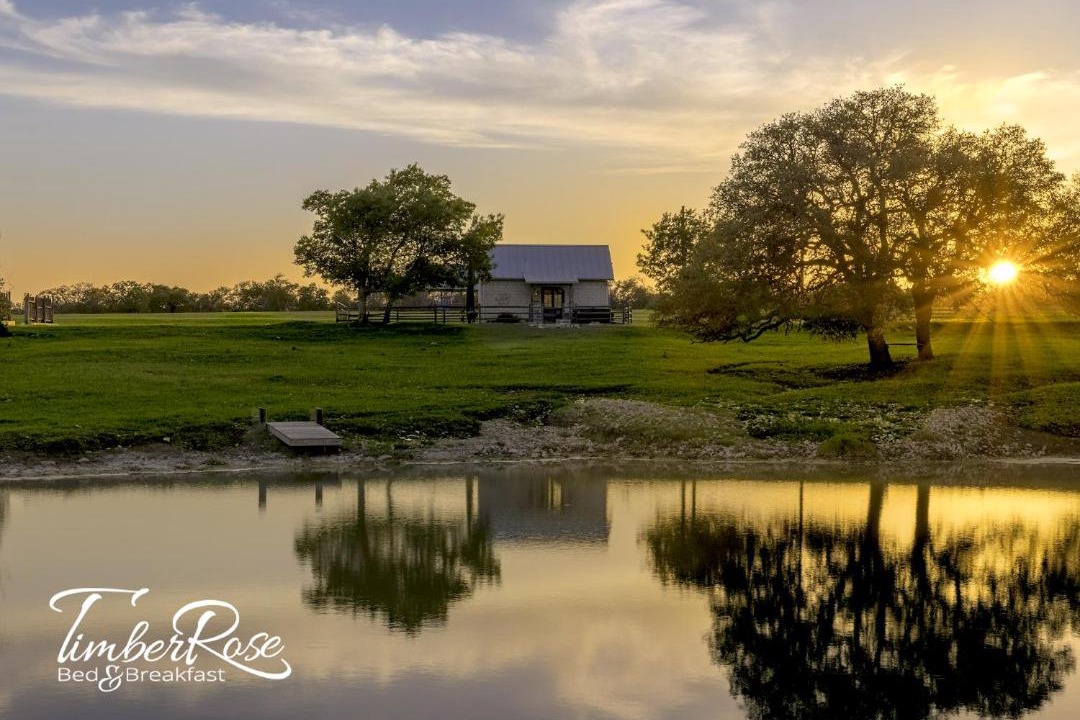 Photo of Outdoor in Grapetown