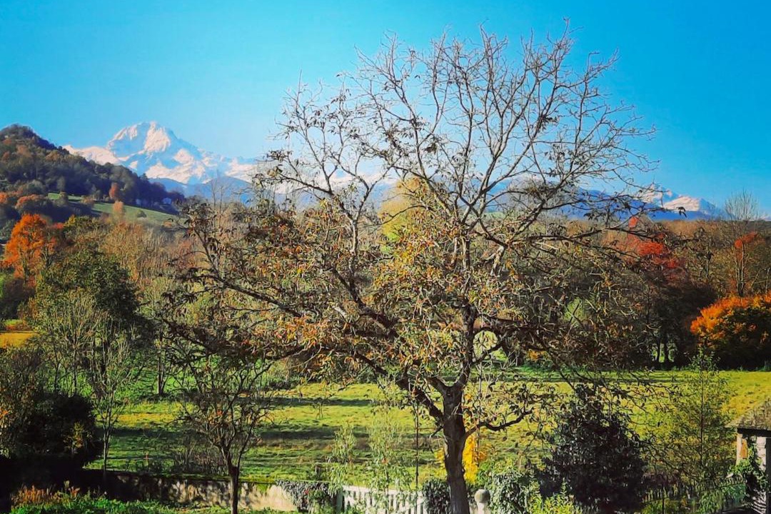 Photo of Others in Tuzaguet