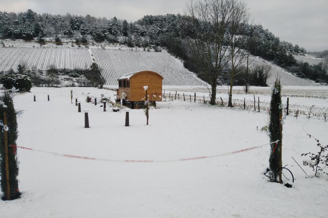 Photo of Others in Spoy