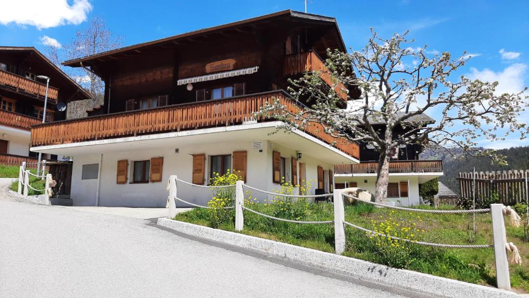 Photo of Others in Fiesch
