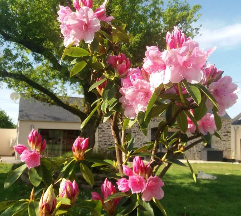 Photo of Outdoor in Commana