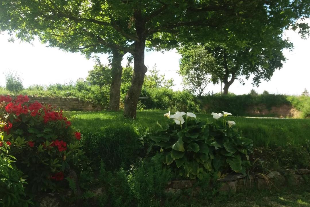 Photo of Others in Commana