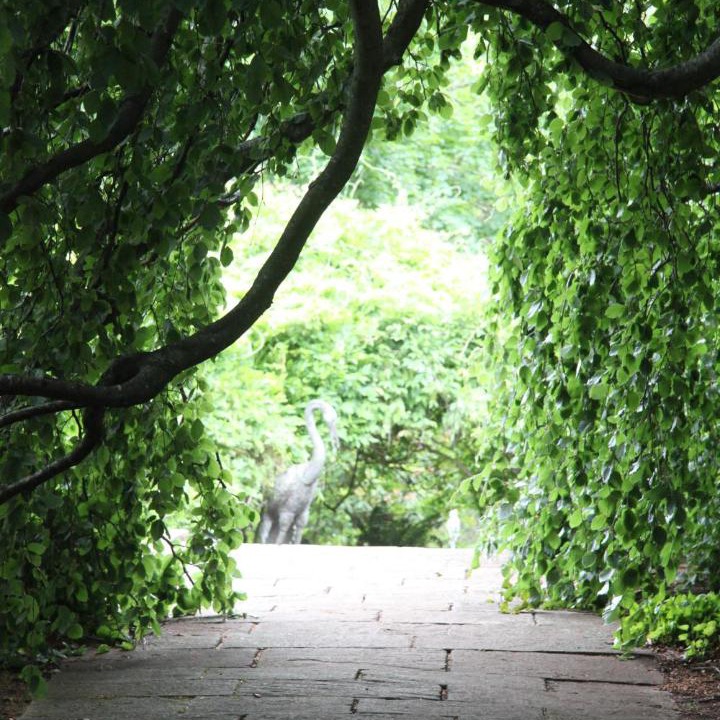 Photo of Others in East Bowral