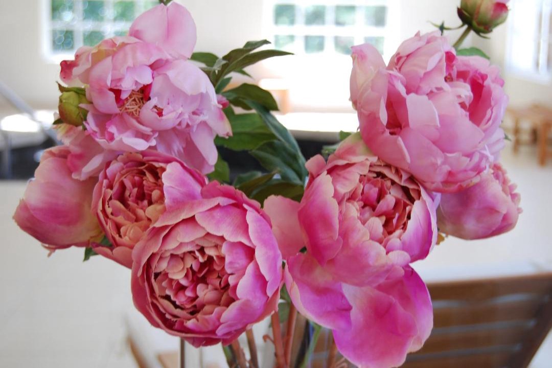 Photo of Others in East Bowral