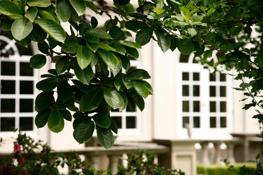 Photo of Others in East Bowral