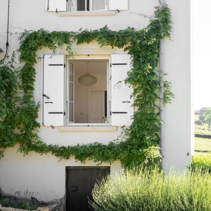 Photo of Buildings in Mazille