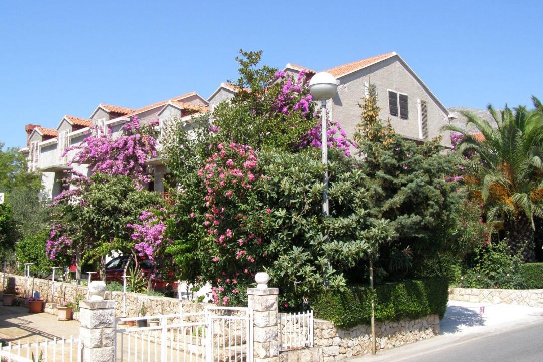 Photo of Others in Cavtat