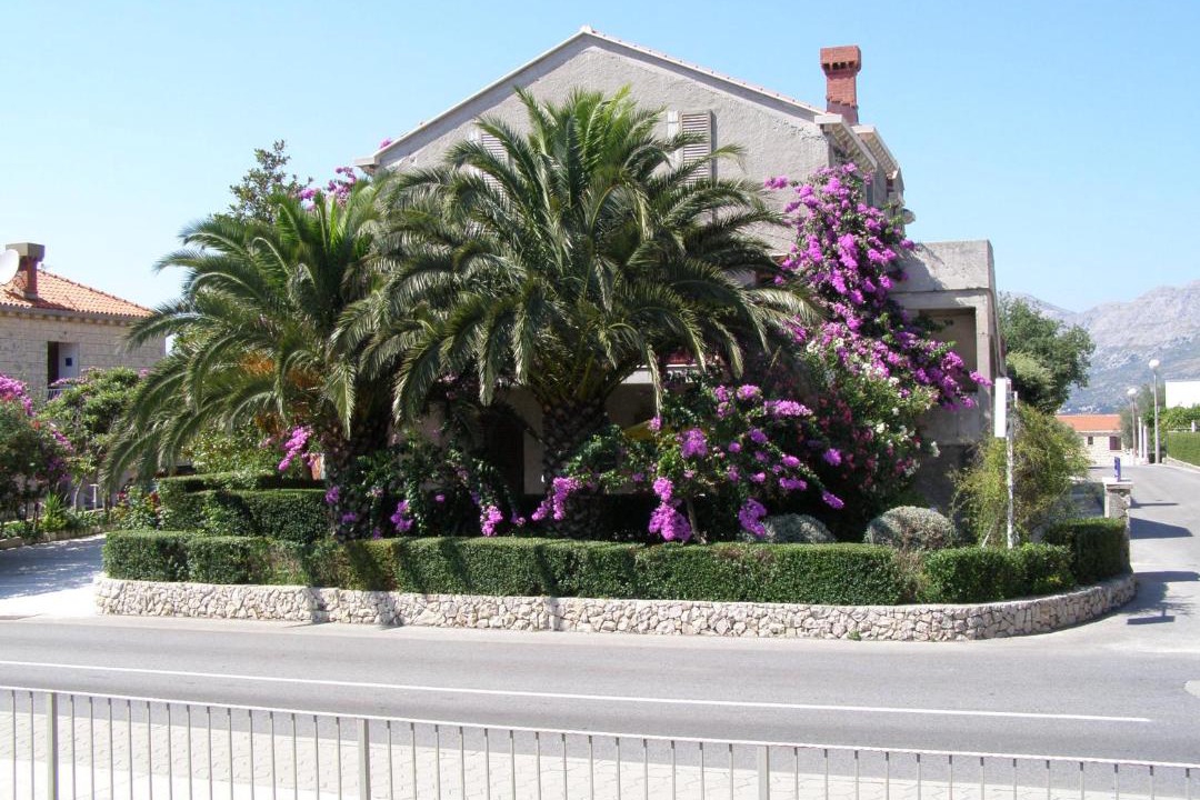 Photo of Others in Cavtat