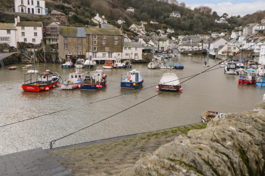 Photo of Buildings in Polperro