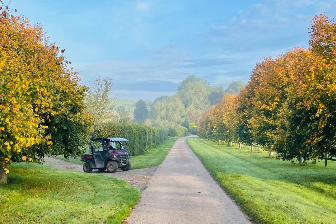 Photo of Others in Alton Barnes