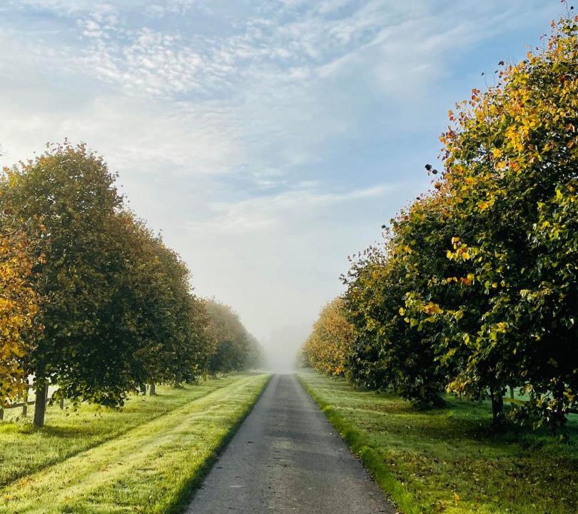 Photo of Others in Alton Barnes