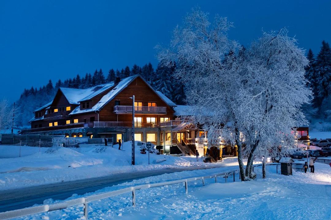 Photo of Others in Belmont