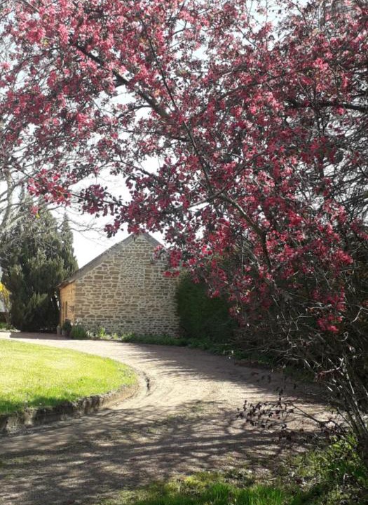 Photo of Others in Charolles