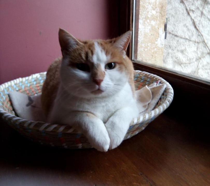 Photo of Others in Charolles