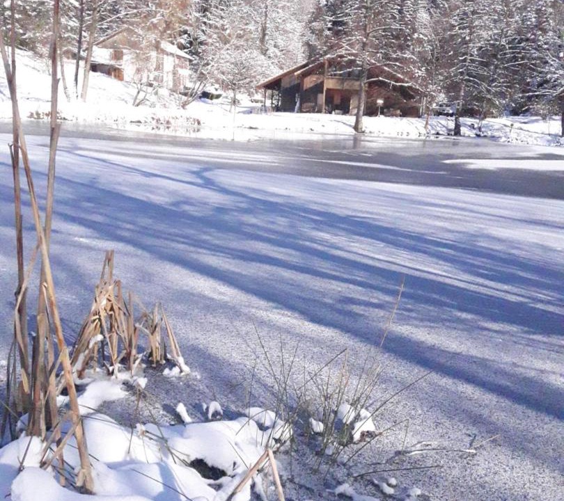 Photo of Others in La Chapelle-devant-Bruyeres