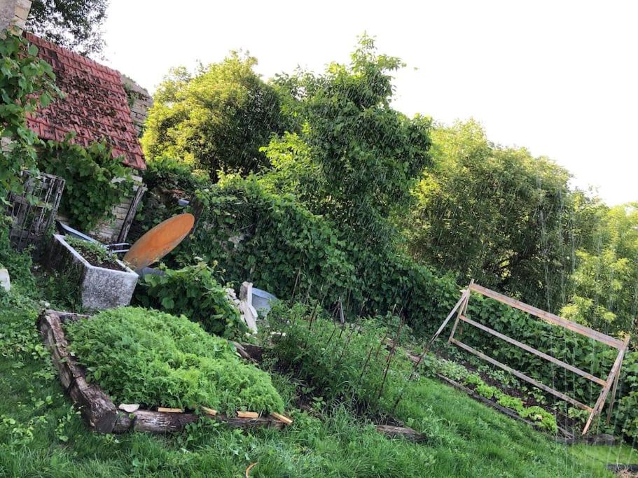 Photo of Others in Annay-sur-Serein