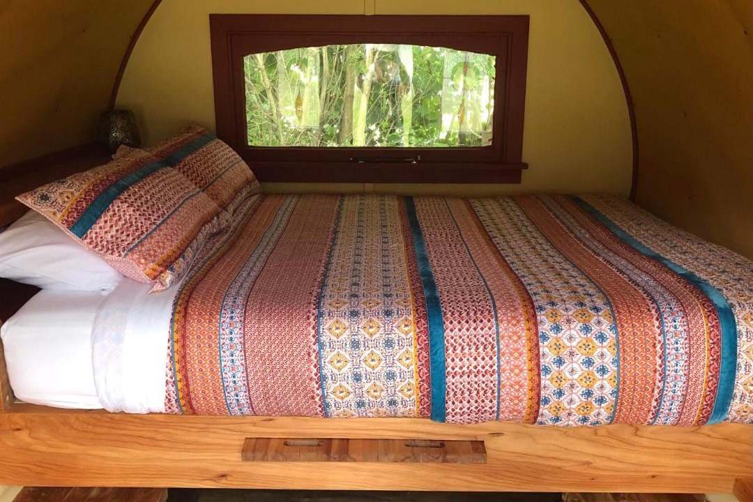 Photo of Others in Greytown