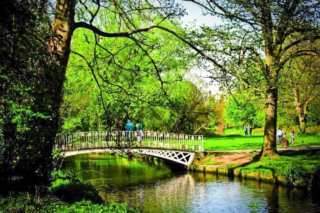 Photo of Others in Lavender Fields